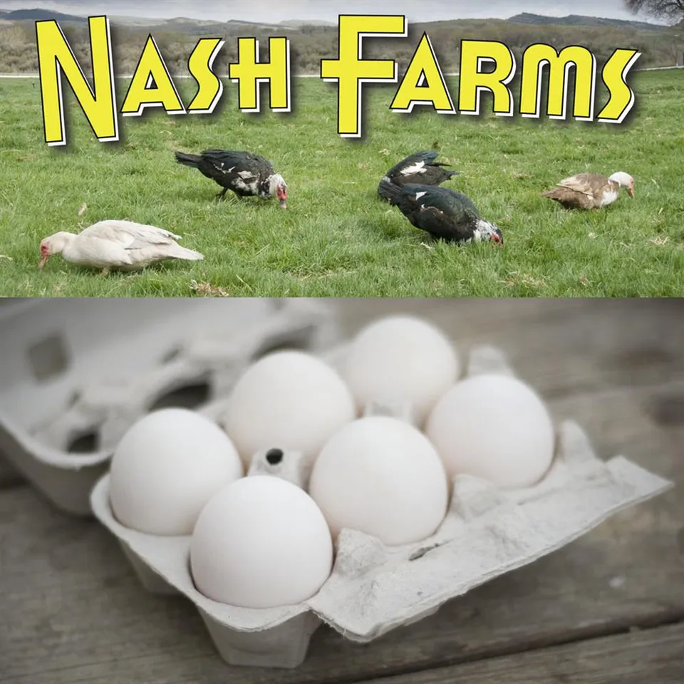 Eggs, Duck