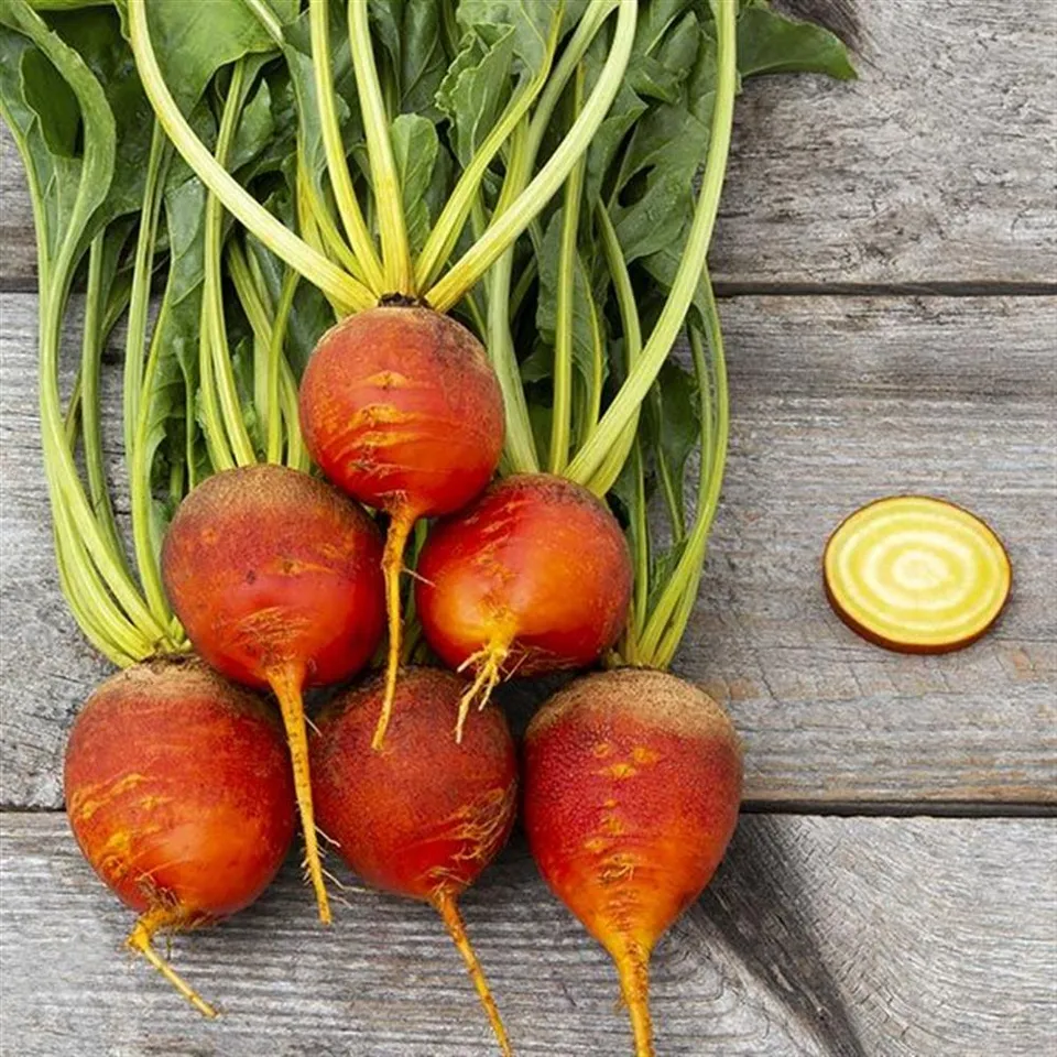 Beets, Golden