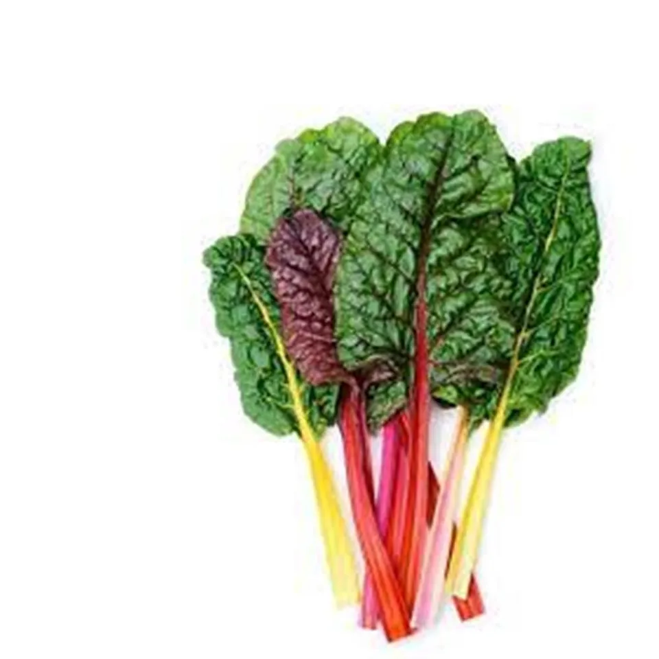 Greens, Chard - Rainbow