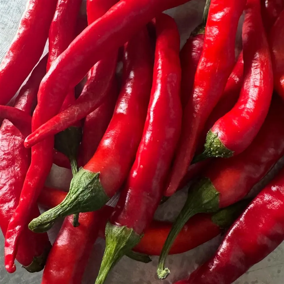 Pepper, Hot - Cayenne