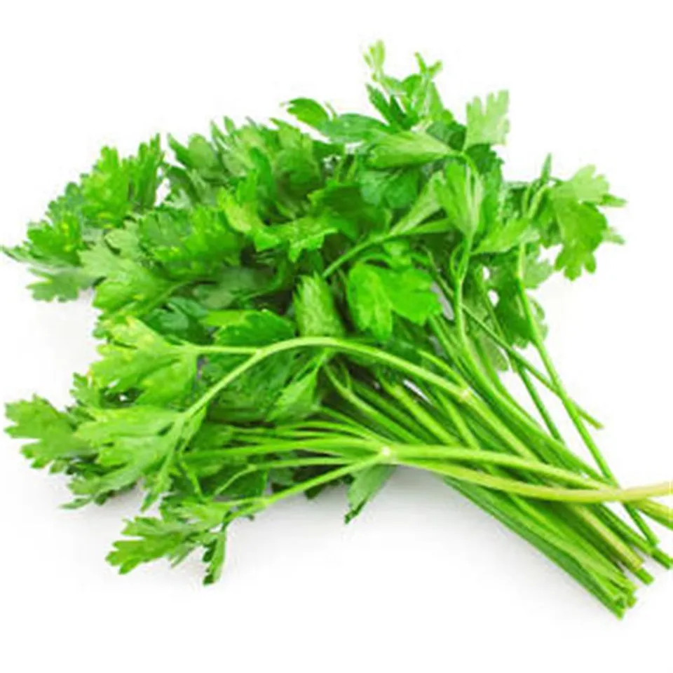 Parsley, Italian