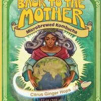 Kombucha Citrus Ginger Hops