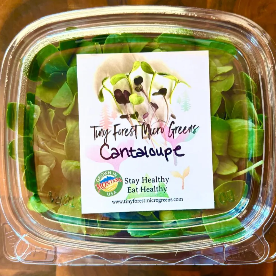 Microgreen Cantaloupe