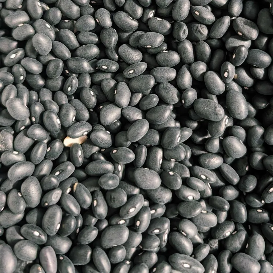 Beans Black