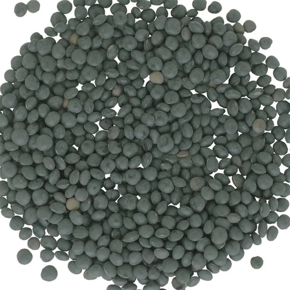 Lentils Black Beluga Conv. BULK