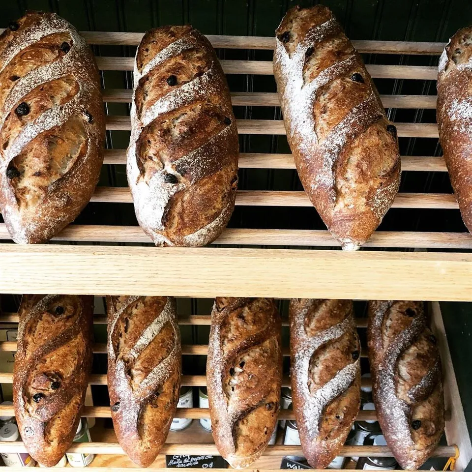Bread, Sourdough Country - Cranberry Walnut Loaf