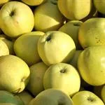 CSA Gingergold Apples 5lb