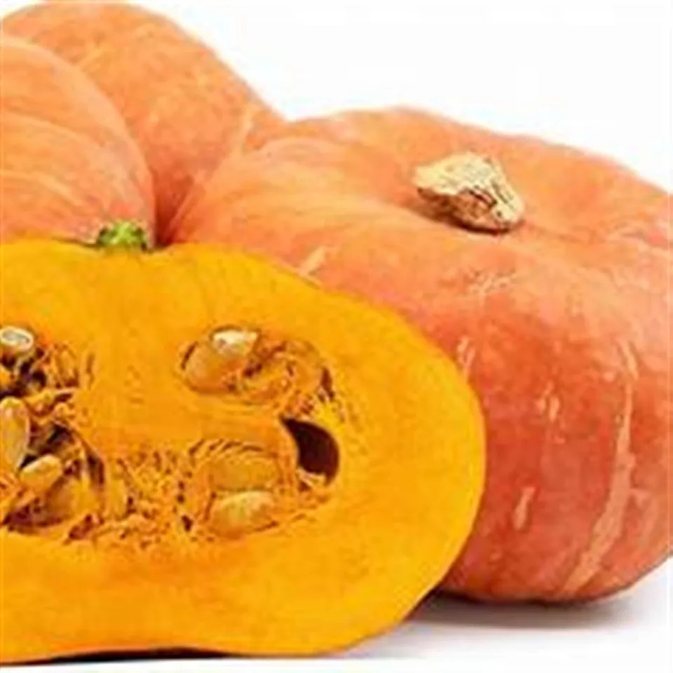Winter Squash Sunshine COG