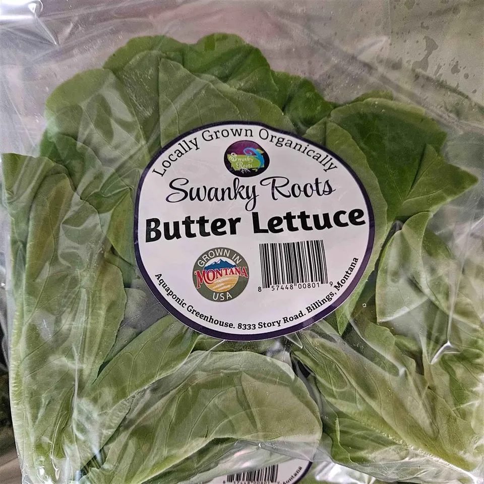 Lettuce, Butter Head