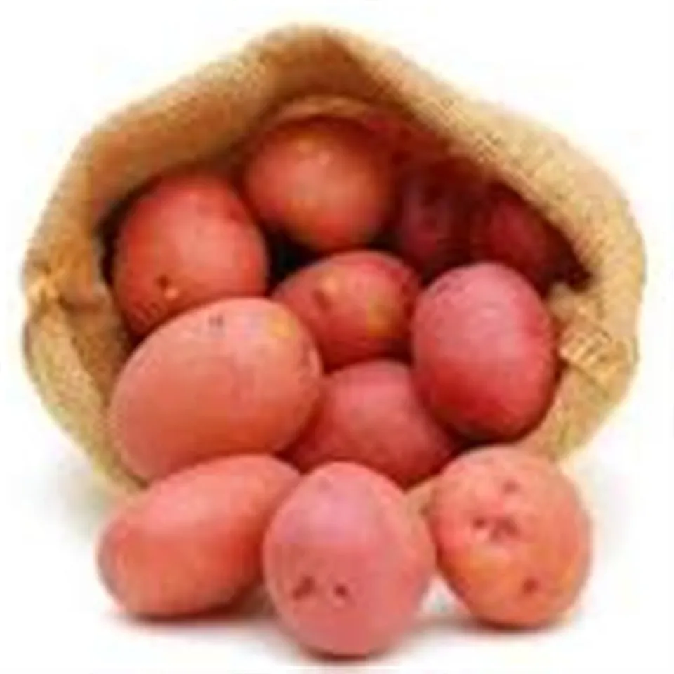 Potatoes, Red