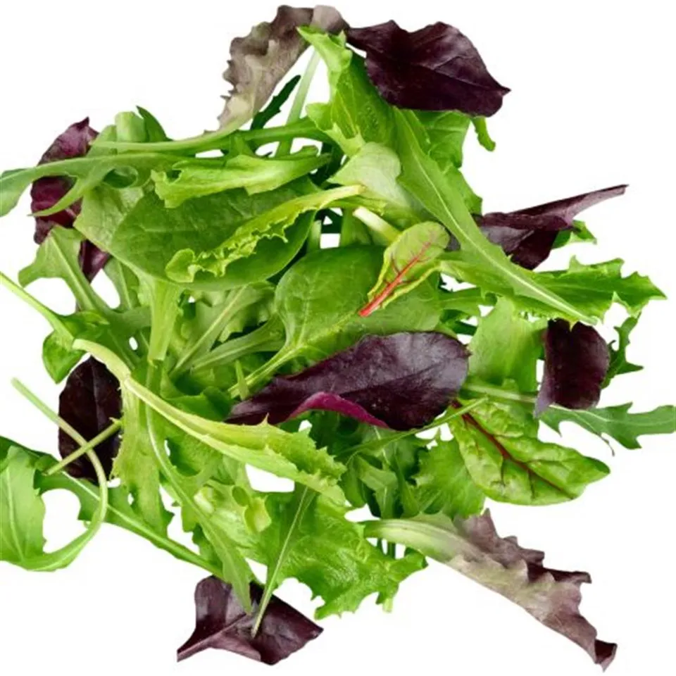 Lettuce Spring Mix HG