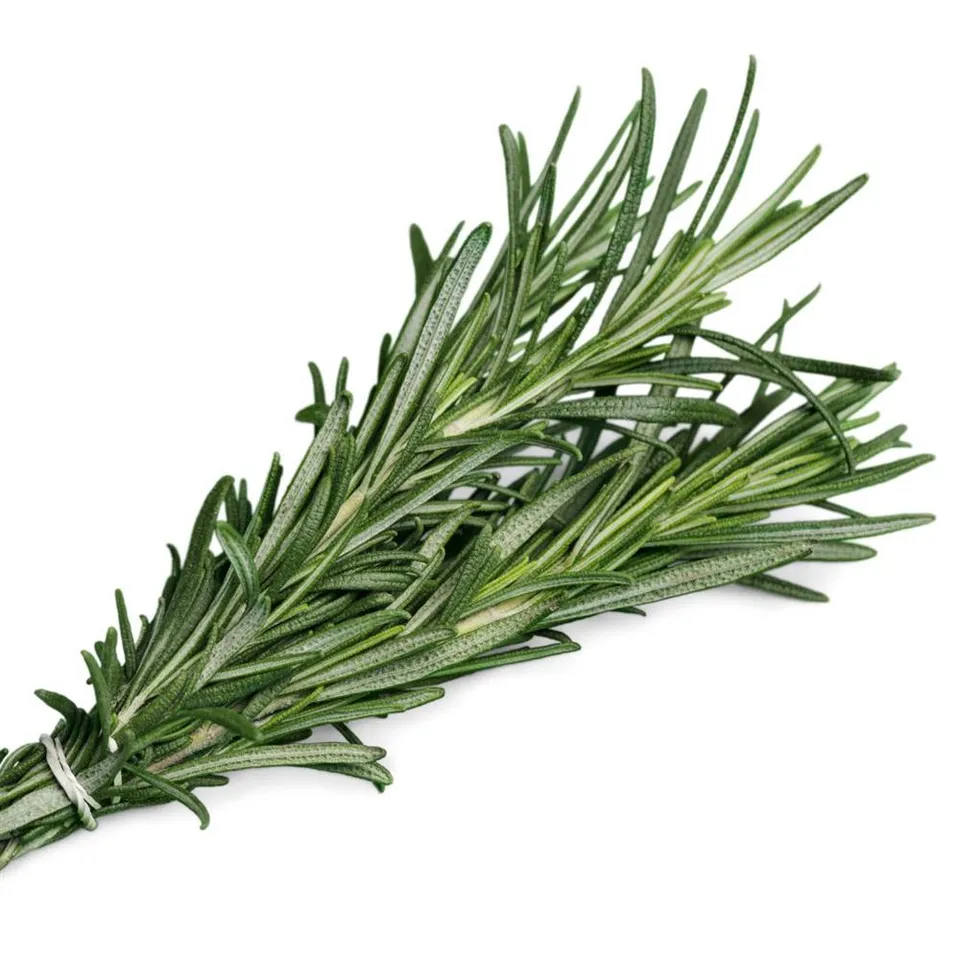 Rosemary Bunch COG