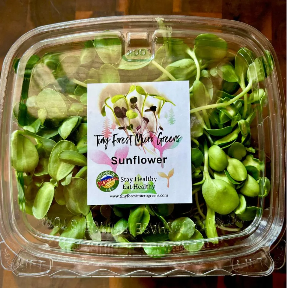 Sunflower Microgreens