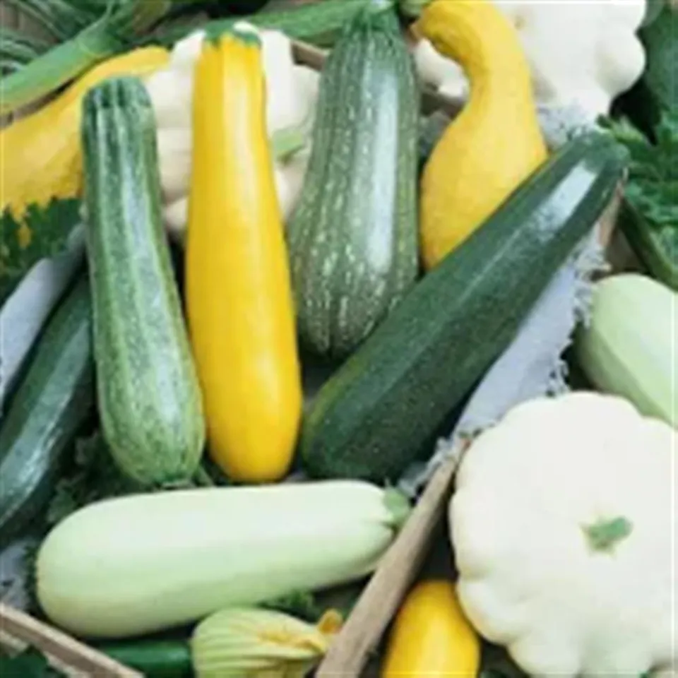 Summer Squash, Mix