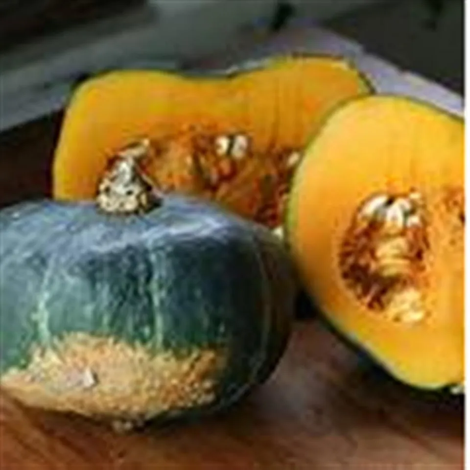 Winter Squash Buttercup COG