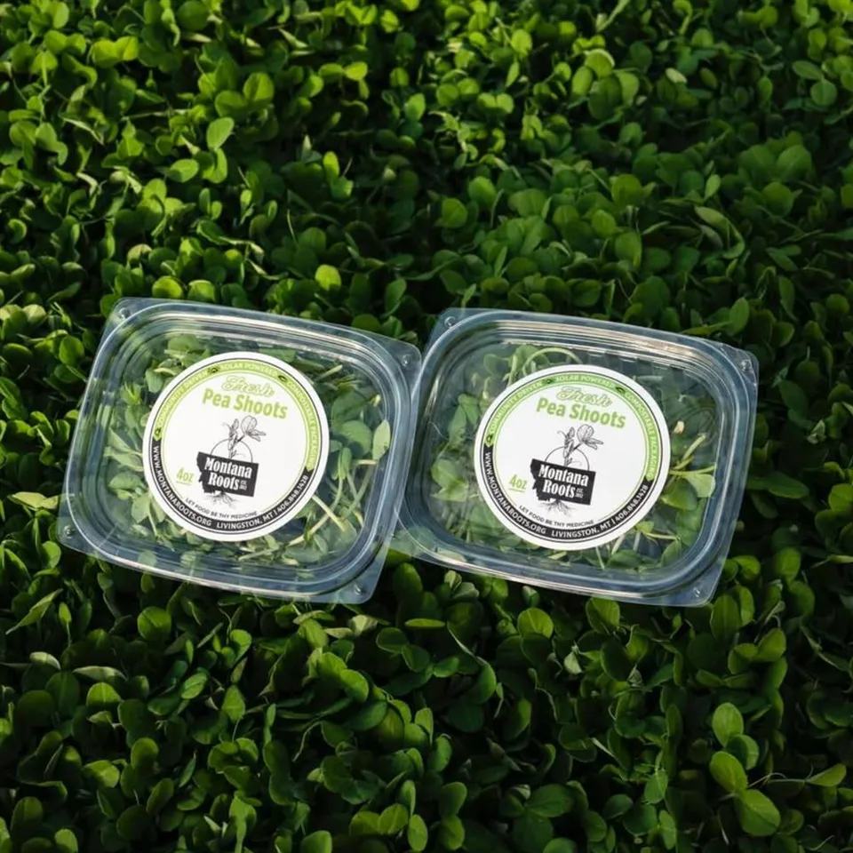 Microgreens, Pea Shoots
