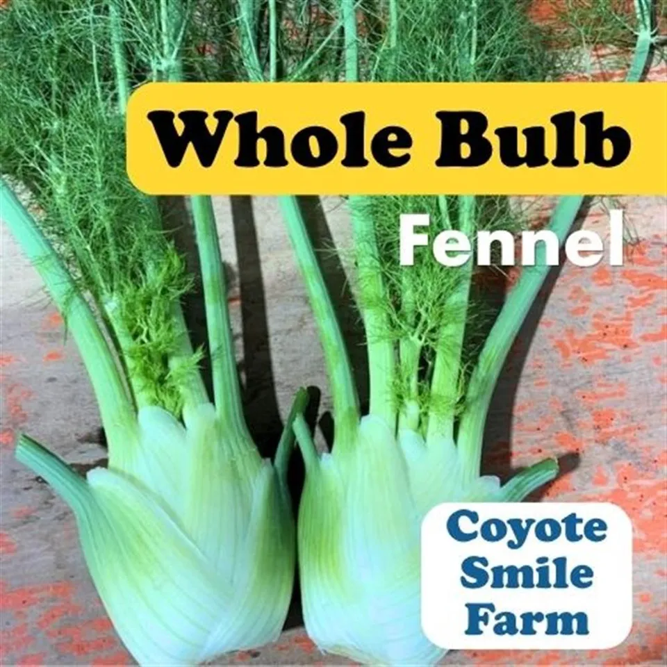 Fennel Whole COG