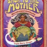 Kombucha Triple Berry Ginger