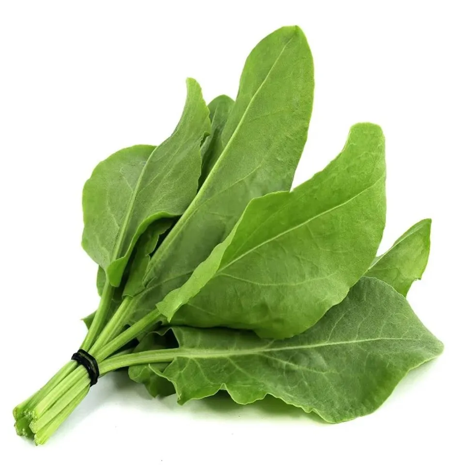 Sorrel