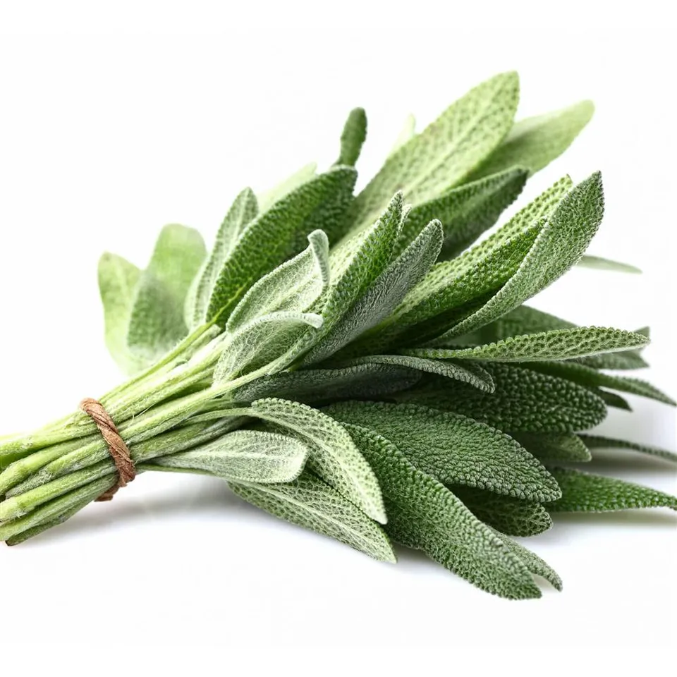 Sage