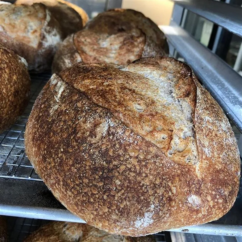 Bread, Sourdough Country - Loaf