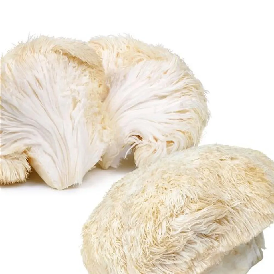 Mushrooms Lions Mane