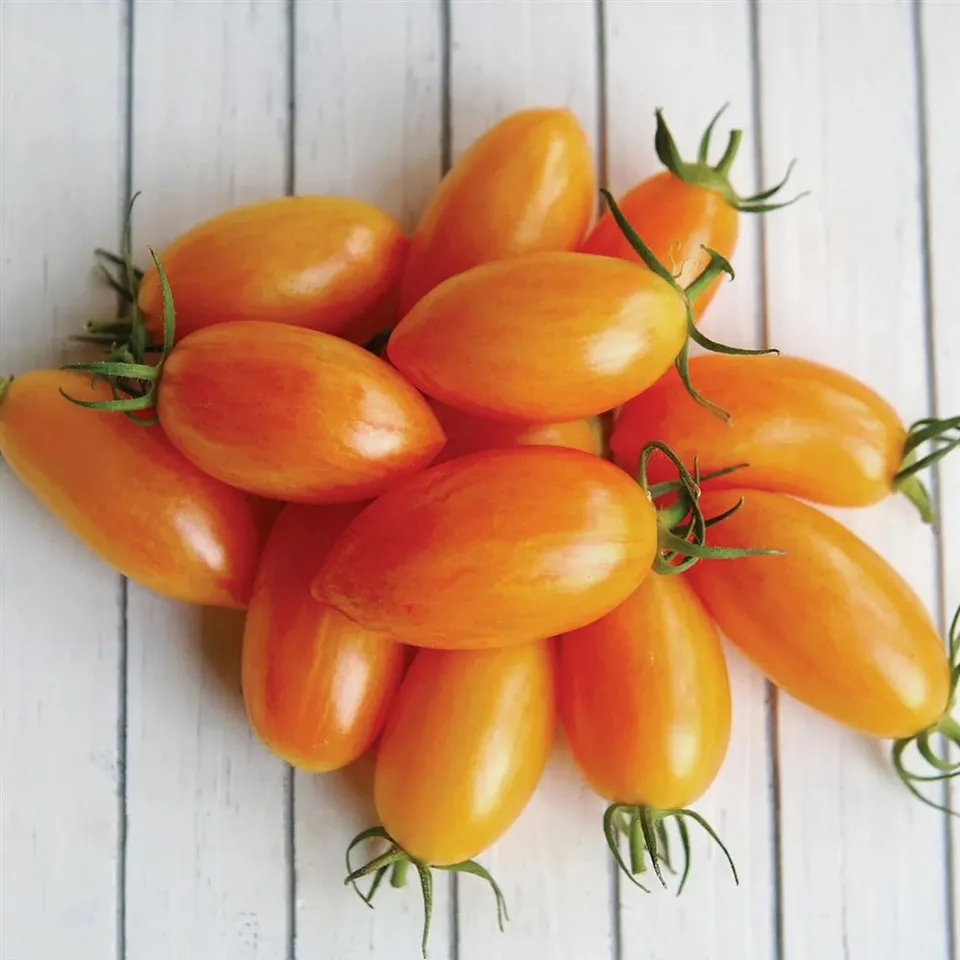 Tomatoes, Saladette Mix