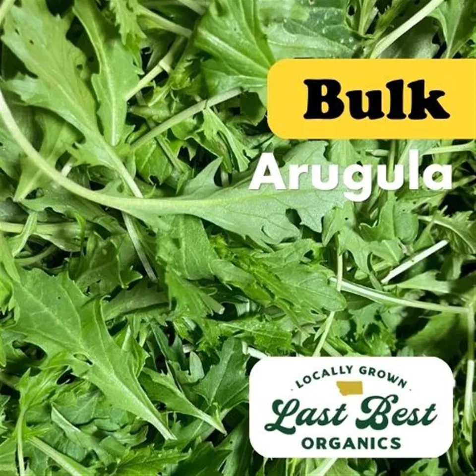 Arugula COG