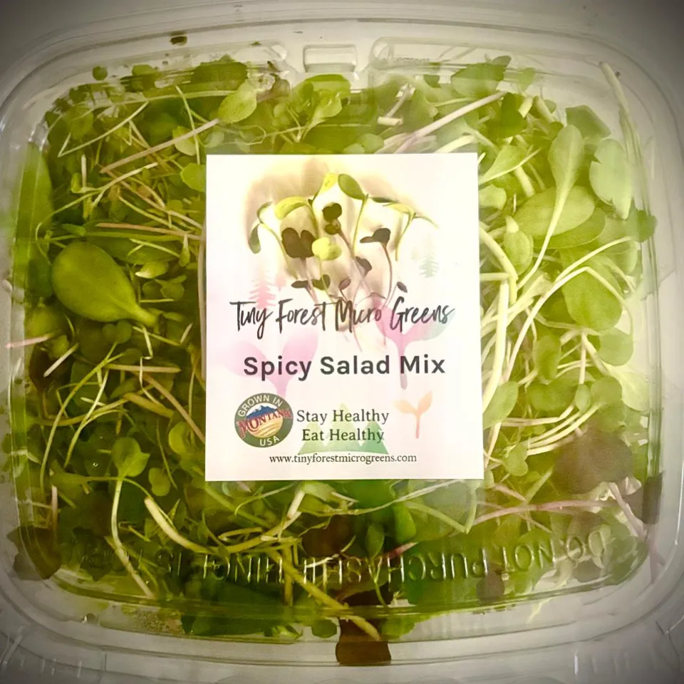 Spicy Salad Mix Microgreens