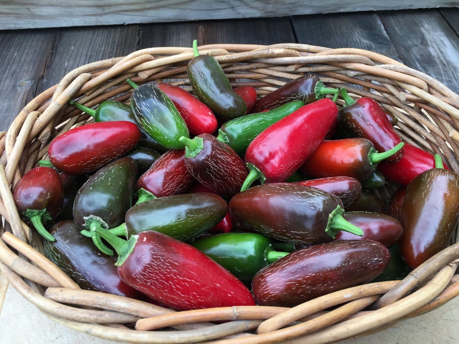 A basket of red and green jalapeno peppers on a barnwood table, photographed by Central Montana Food Hub.