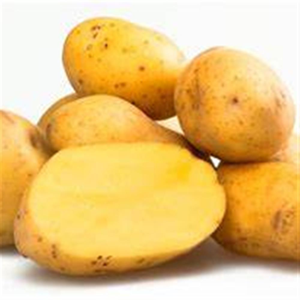 Potato Yukon Gold COG