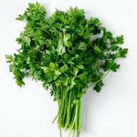 Parsley, Italian