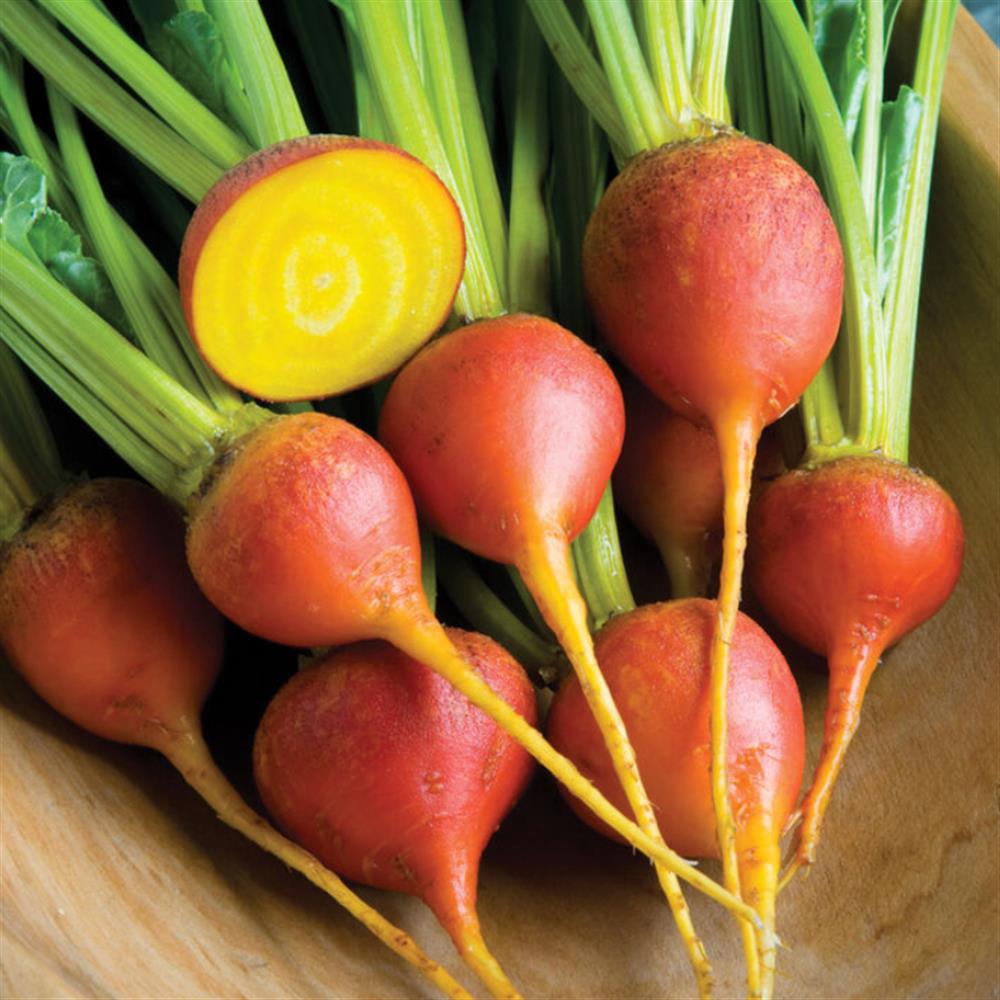 Golden beets with greens