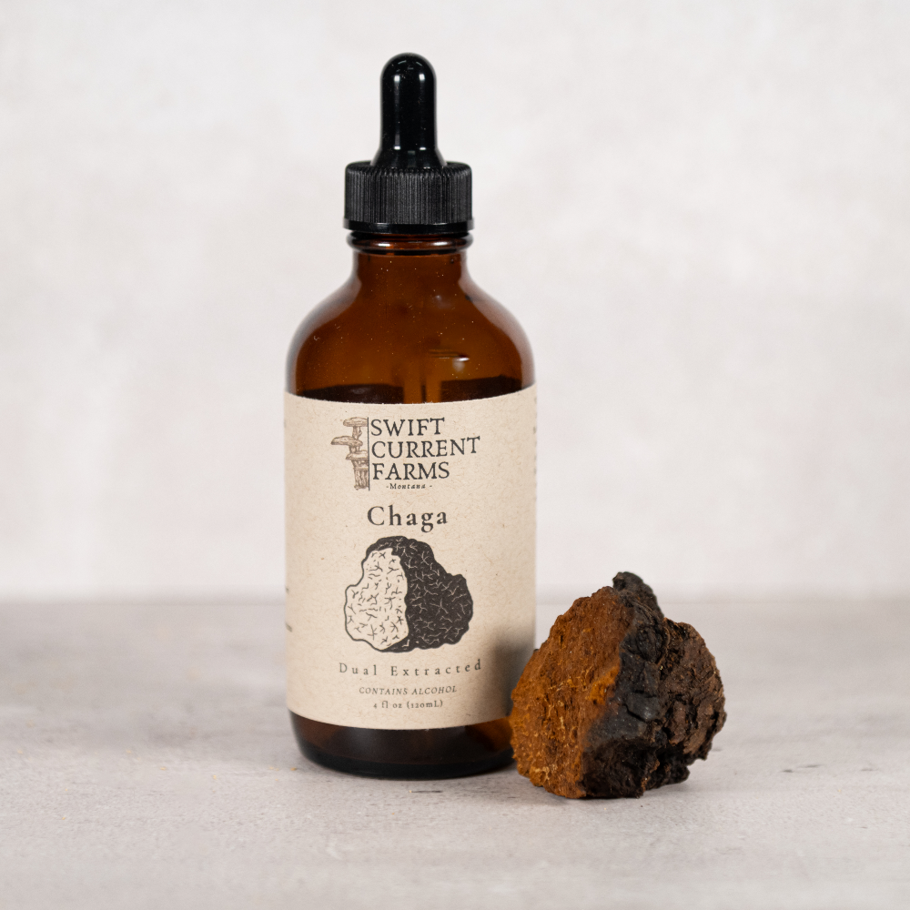 A Swift Current Farms chaga tincture bottle beside a piece of chaga.