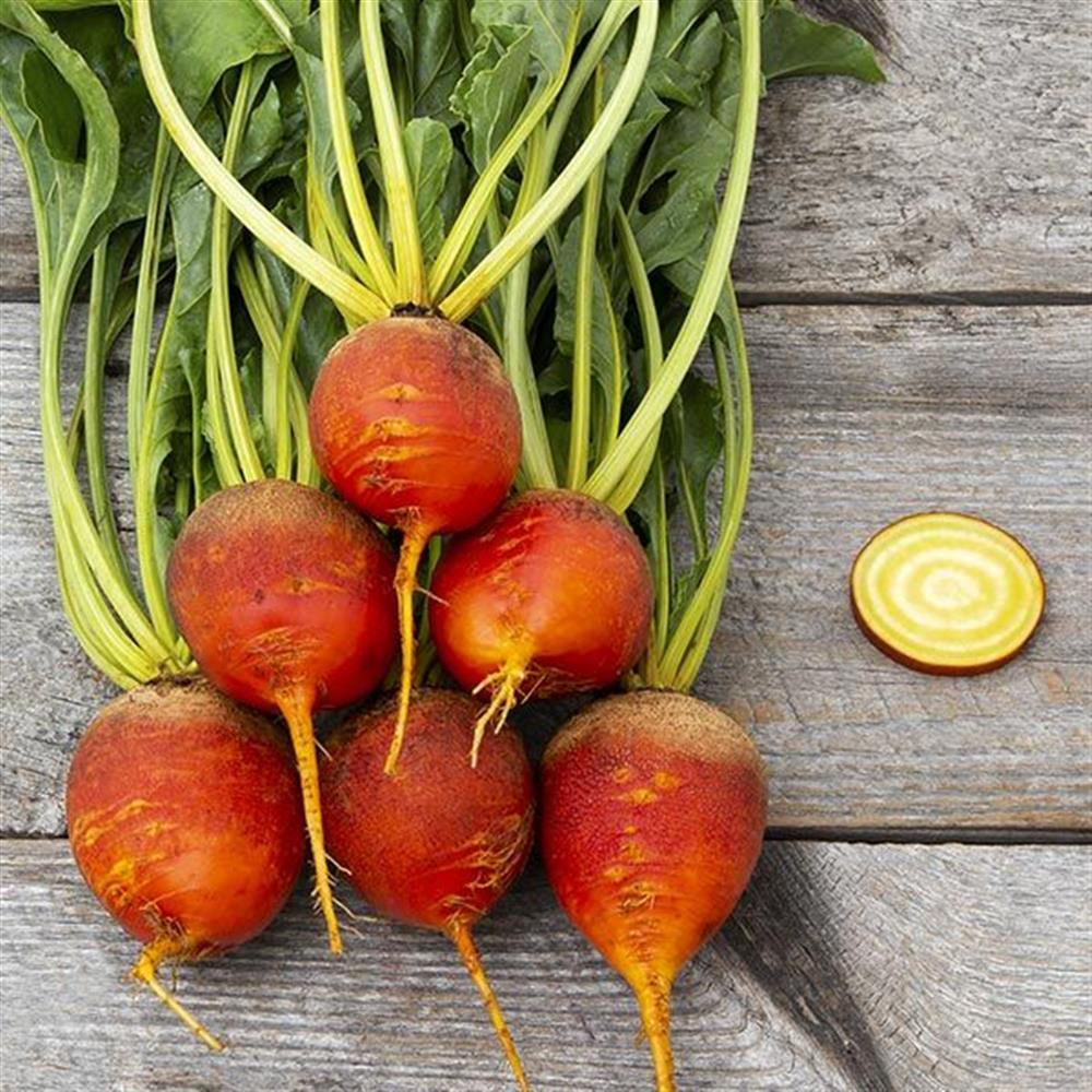 Beets, Golden