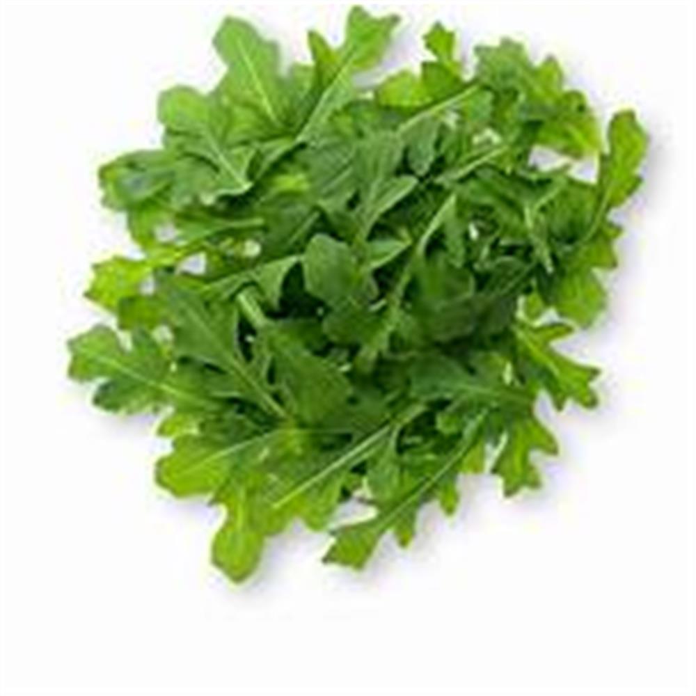 Arugula HG