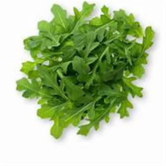 Arugula HG