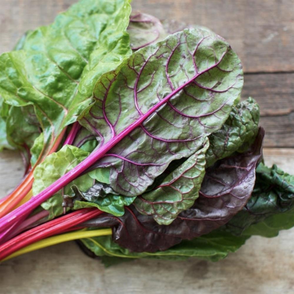 Chard, Rainbow