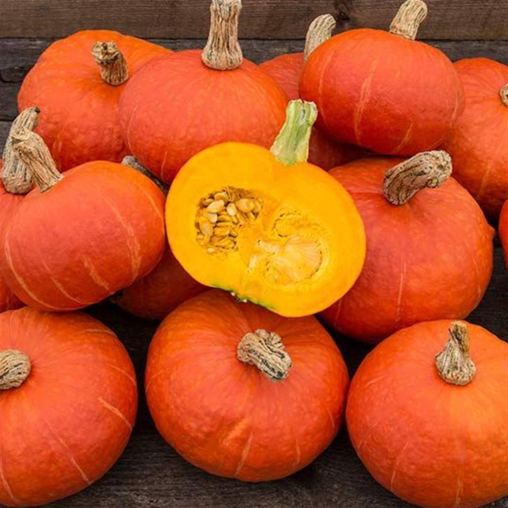 Orange winter squash, including one cut open