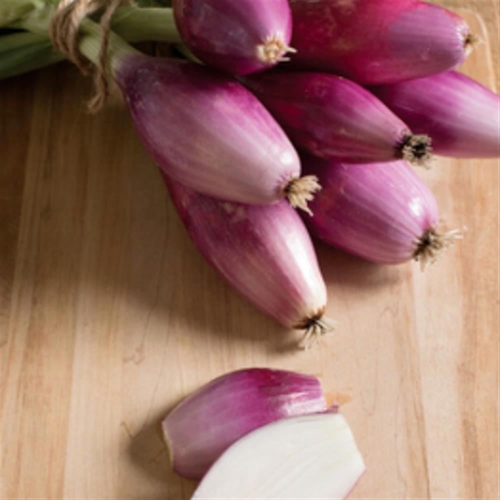 A bunch of reddish-purple elongated onions on a wooden surface.