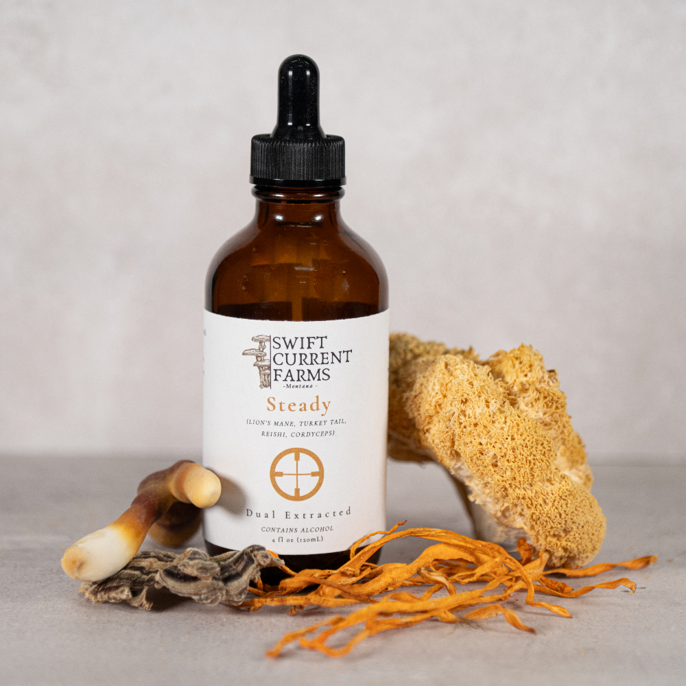 A Swift Current Farms Steady tincture bottle beside mushrooms.