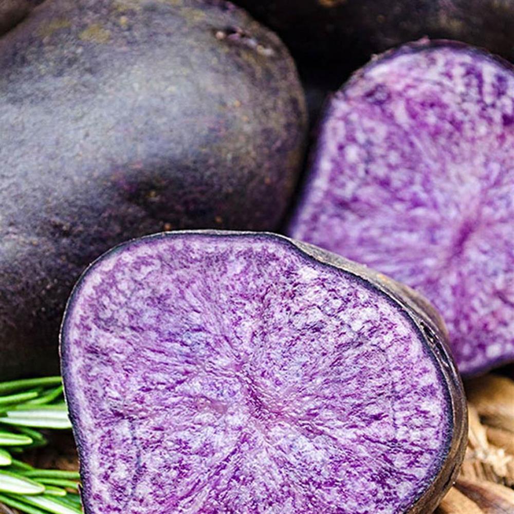 Purple potatoes, including one cut open to show its purple flesh.