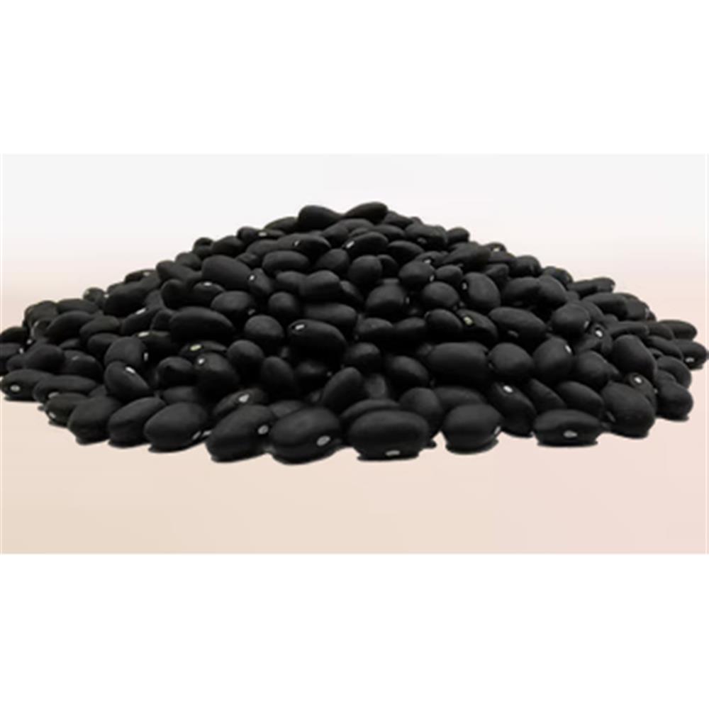 Black Beans