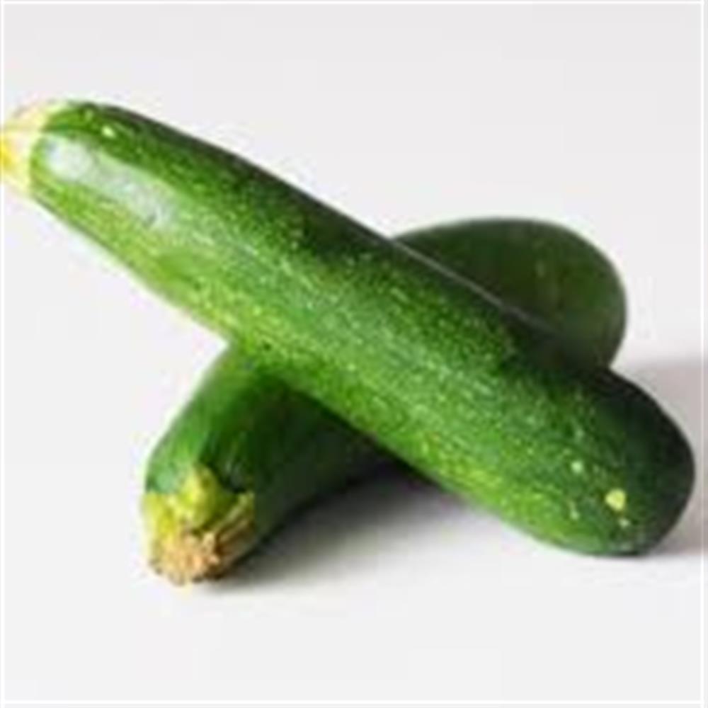 Squash, Zucchini