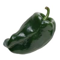 Peppers, Poblano