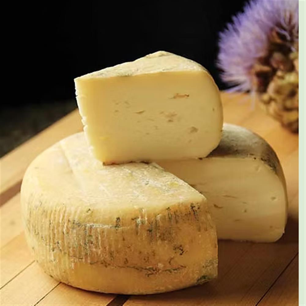 Cheese, Montasio Plain