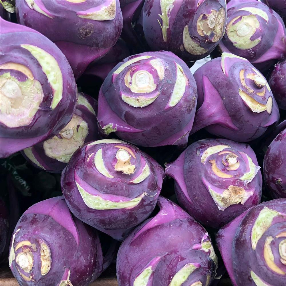 Kohlrabi, Purple