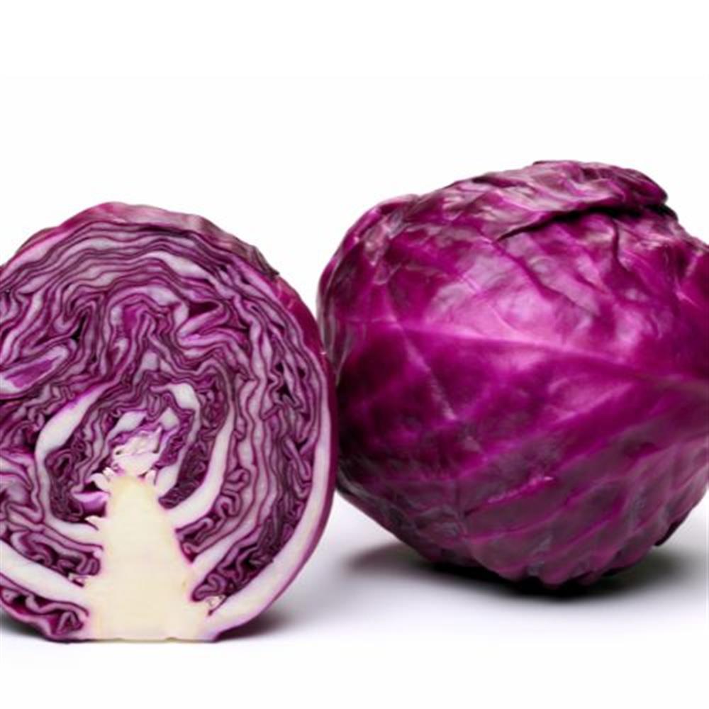 Cabbage Red COG