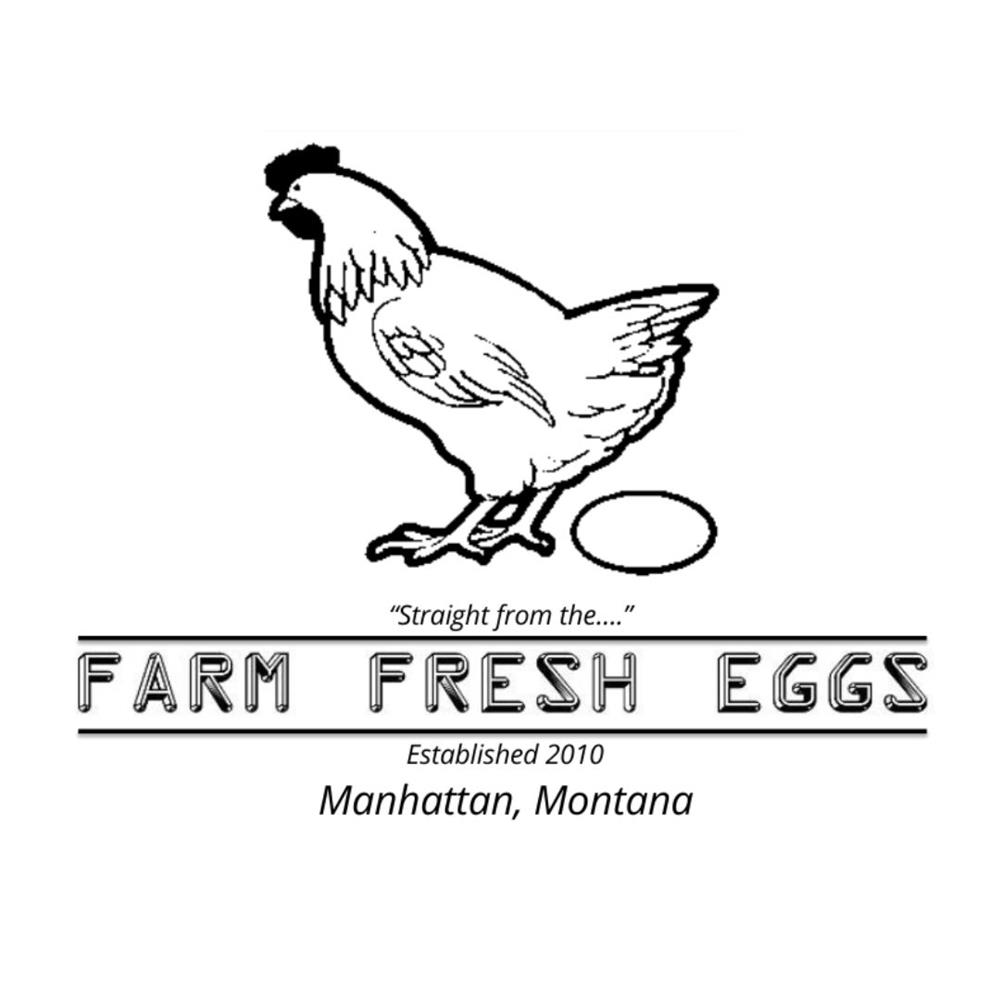 Eggs LARGE Tray Pack Case