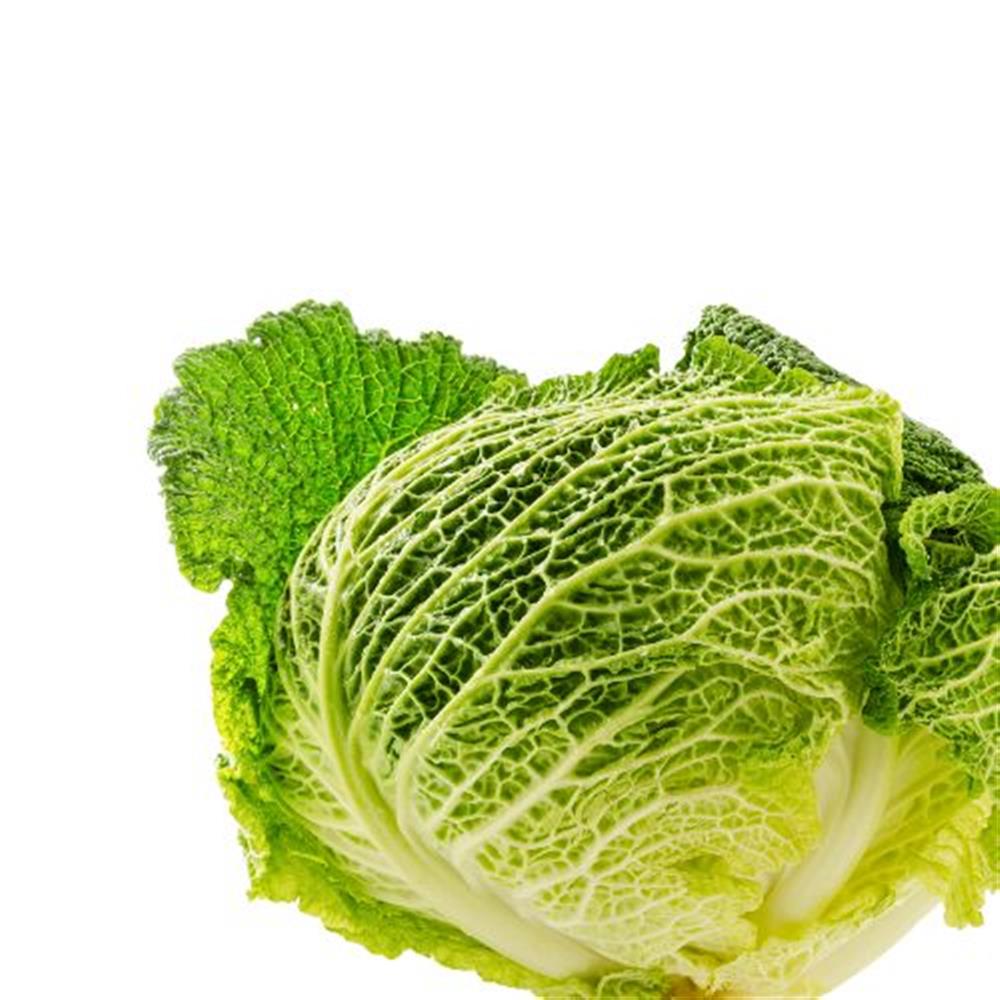 Cabbage Savoy COG